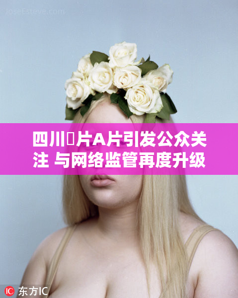 四川婬片A片引发公众关注 与网络监管再度升级