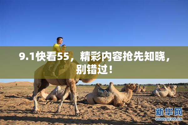 9.1快看55，精彩内容抢先知晓，别错过！
