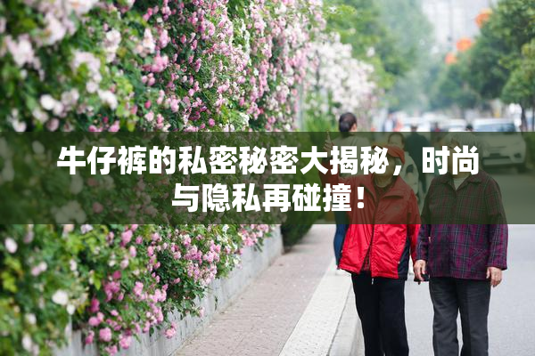 牛仔裤的私密秘密大揭秘，时尚与隐私再碰撞！