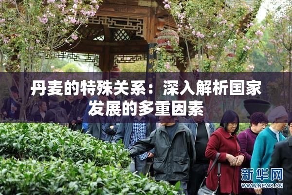 丹麦的特殊关系：深入解析国家发展的多重因素