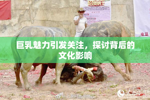 巨乳魅力引发关注，探讨背后的文化影响