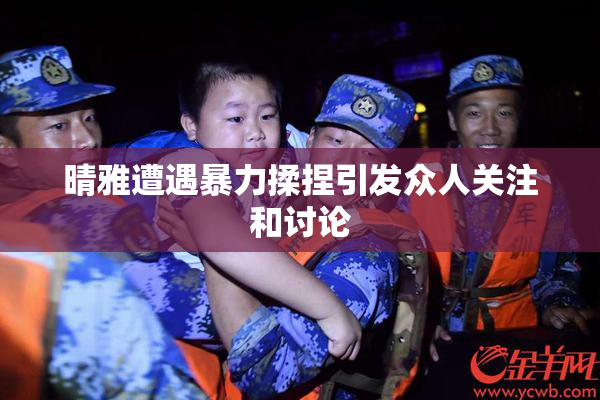 晴雅遭遇暴力揉捏引发众人关注和讨论