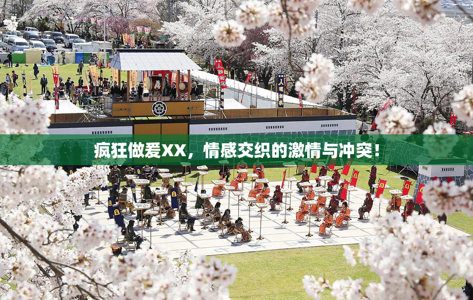 疯狂做爰XX，情感交织的激情与冲突！