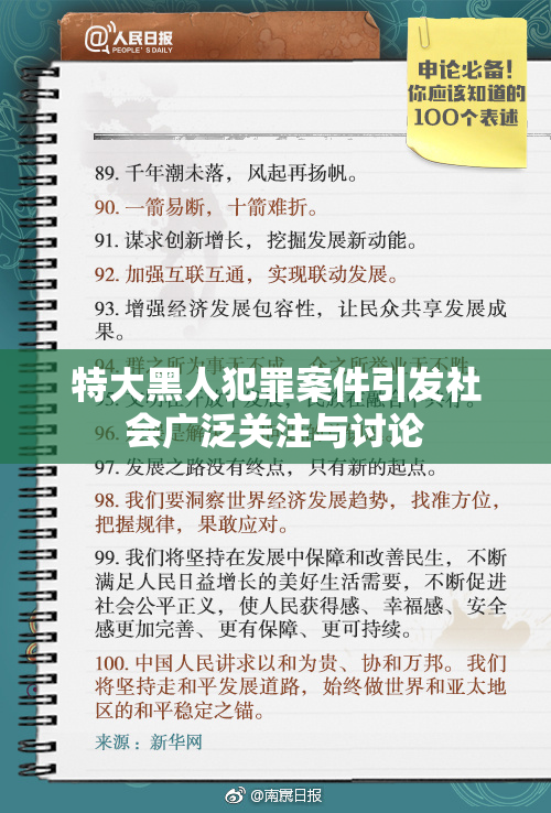 特大黑人犯罪案件引发社会广泛关注与讨论