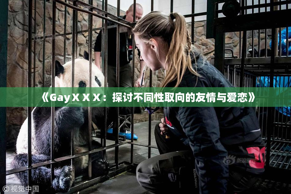《GayⅩⅩⅩ：探讨不同性取向的友情与爱恋》