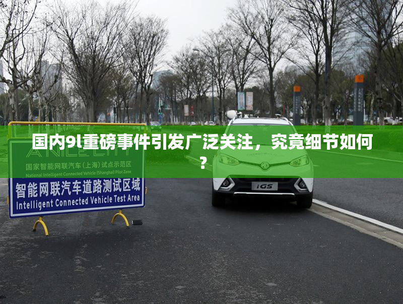 国内9l重磅事件引发广泛关注，究竟细节如何？