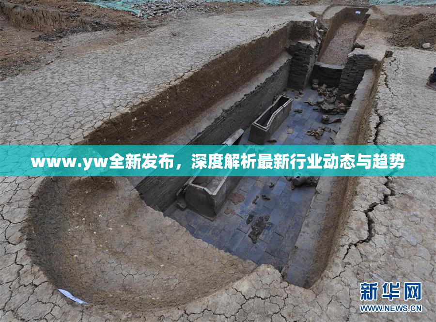 www.yw全新发布，深度解析最新行业动态与趋势