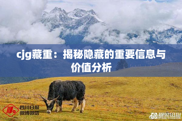 cjg藏重：揭秘隐藏的重要信息与价值分析
