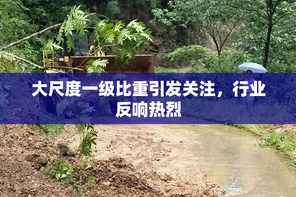 大尺度一级比重引发关注，行业反响热烈