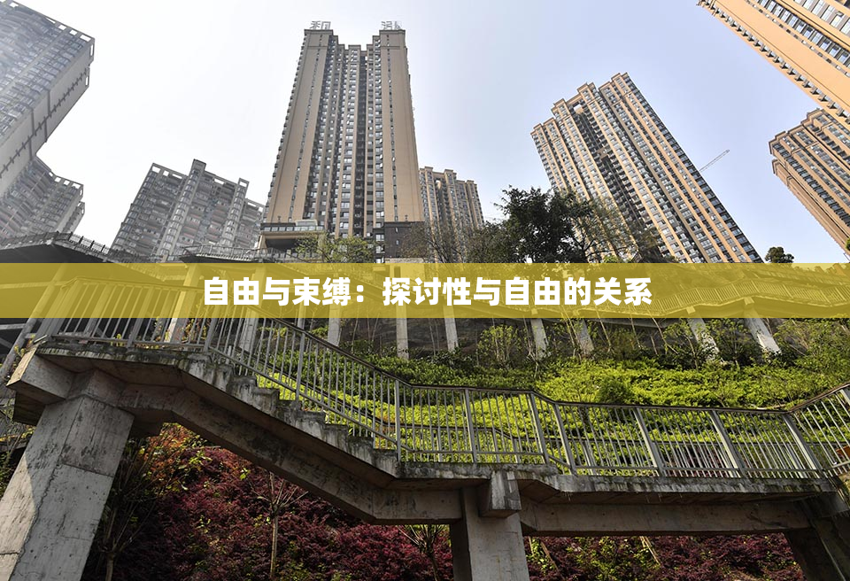 自由与束缚：探讨性与自由的关系