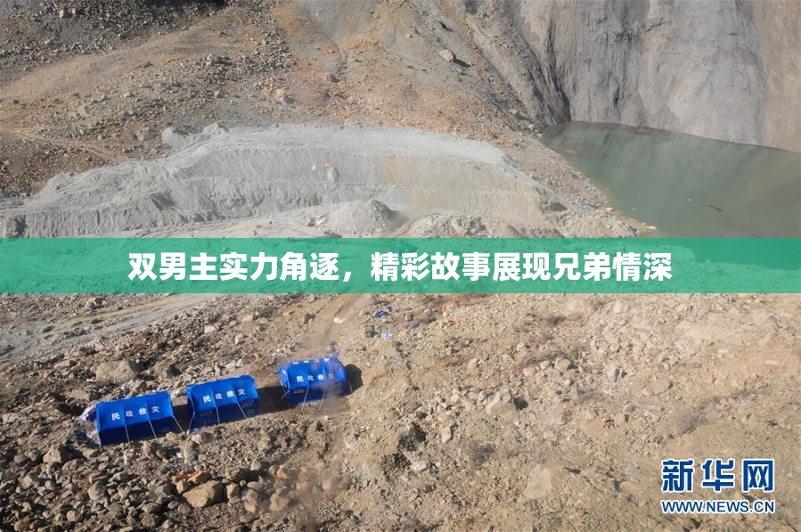 双男主实力角逐，精彩故事展现兄弟情深