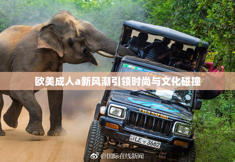 欧美成人a新风潮引领时尚与文化碰撞