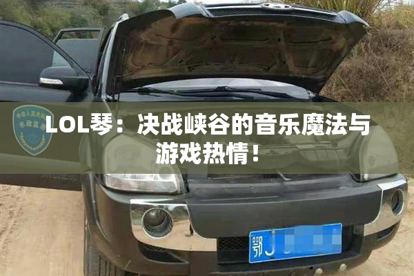 LOL琴：决战峡谷的音乐魔法与游戏热情！