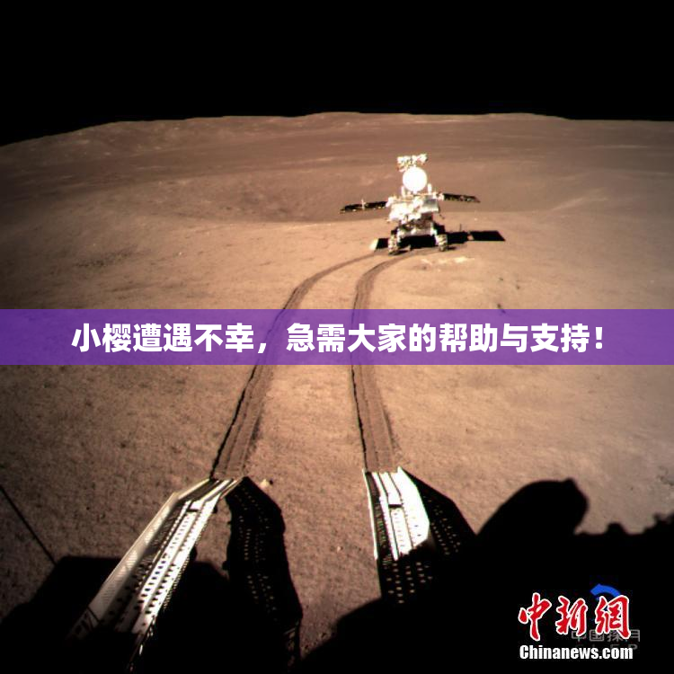 小樱遭遇不幸，急需大家的帮助与支持！