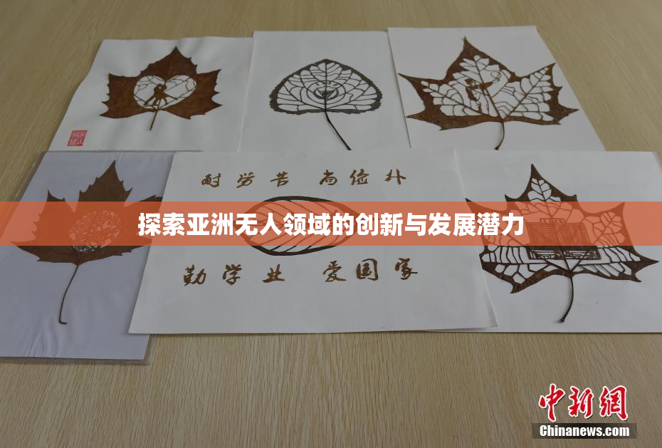 探索亚洲无人领域的创新与发展潜力