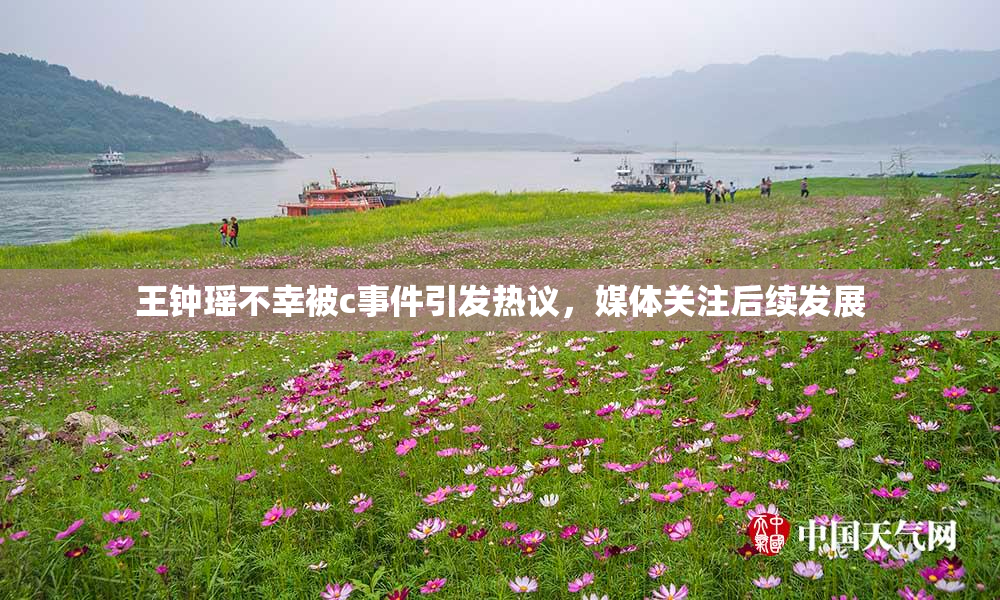 王钟瑶不幸被c事件引发热议，媒体关注后续发展