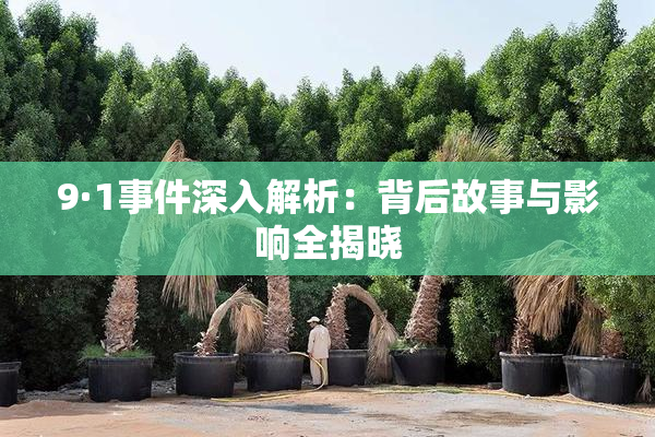 9·1事件深入解析：背后故事与影响全揭晓