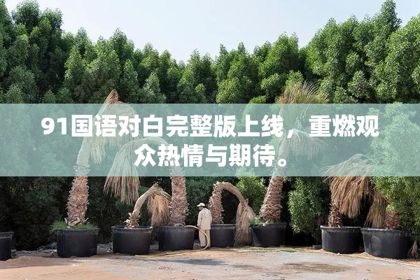 91国语对白完整版上线，重燃观众热情与期待。