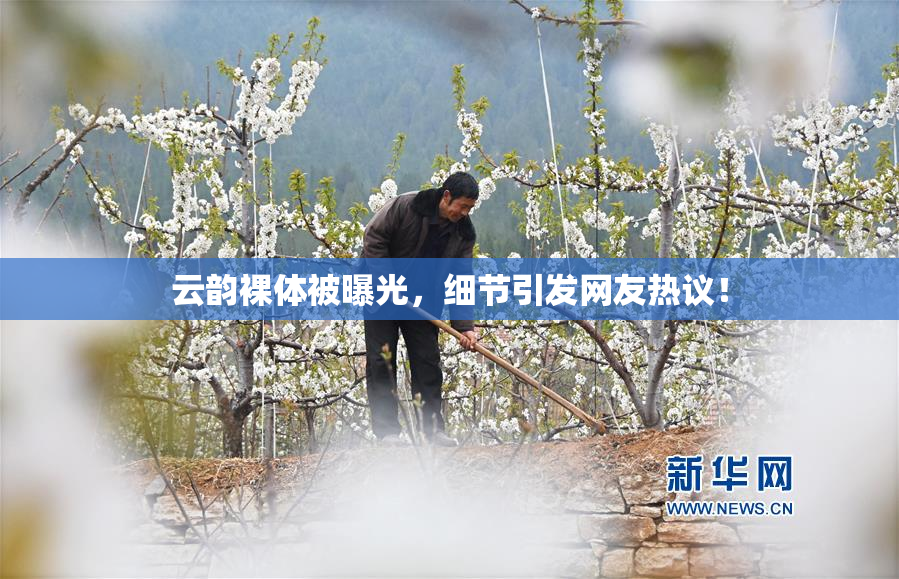 云韵裸体被曝光，细节引发网友热议！