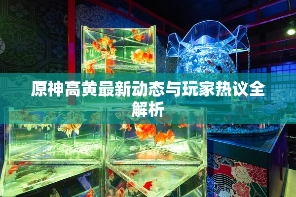 原神高黄最新动态与玩家热议全解析