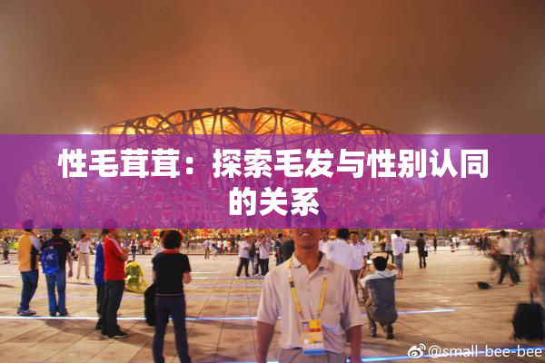性毛茸茸：探索毛发与性别认同的关系