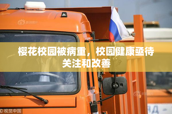 樱花校园被病重，校园健康亟待关注和改善