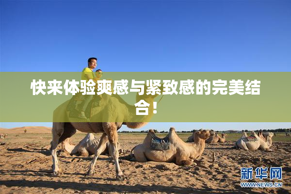快来体验爽感与紧致感的完美结合！