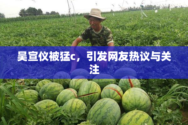 吴宣仪被猛c，引发网友热议与关注