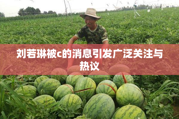 刘若琳被c的消息引发广泛关注与热议