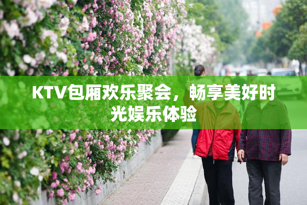KTV包厢欢乐聚会，畅享美好时光娱乐体验