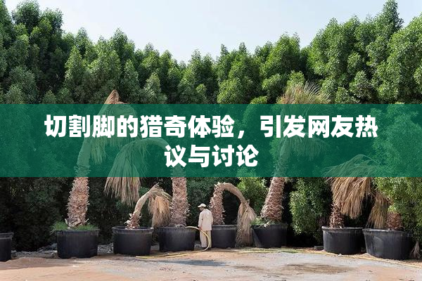 切割脚的猎奇体验，引发网友热议与讨论