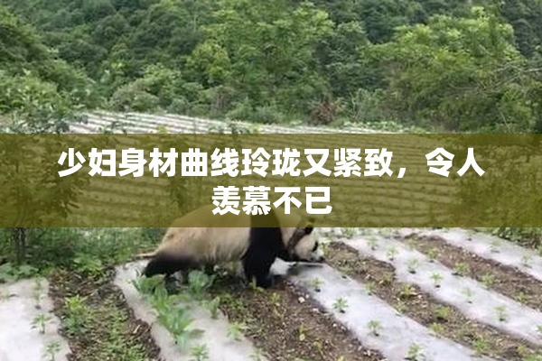 少妇身材曲线玲珑又紧致，令人羡慕不已