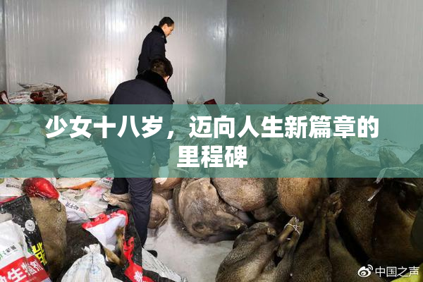 少女十八岁，迈向人生新篇章的里程碑