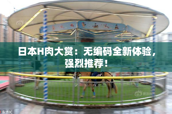 日本H肉大赏：无编码全新体验，强烈推荐！