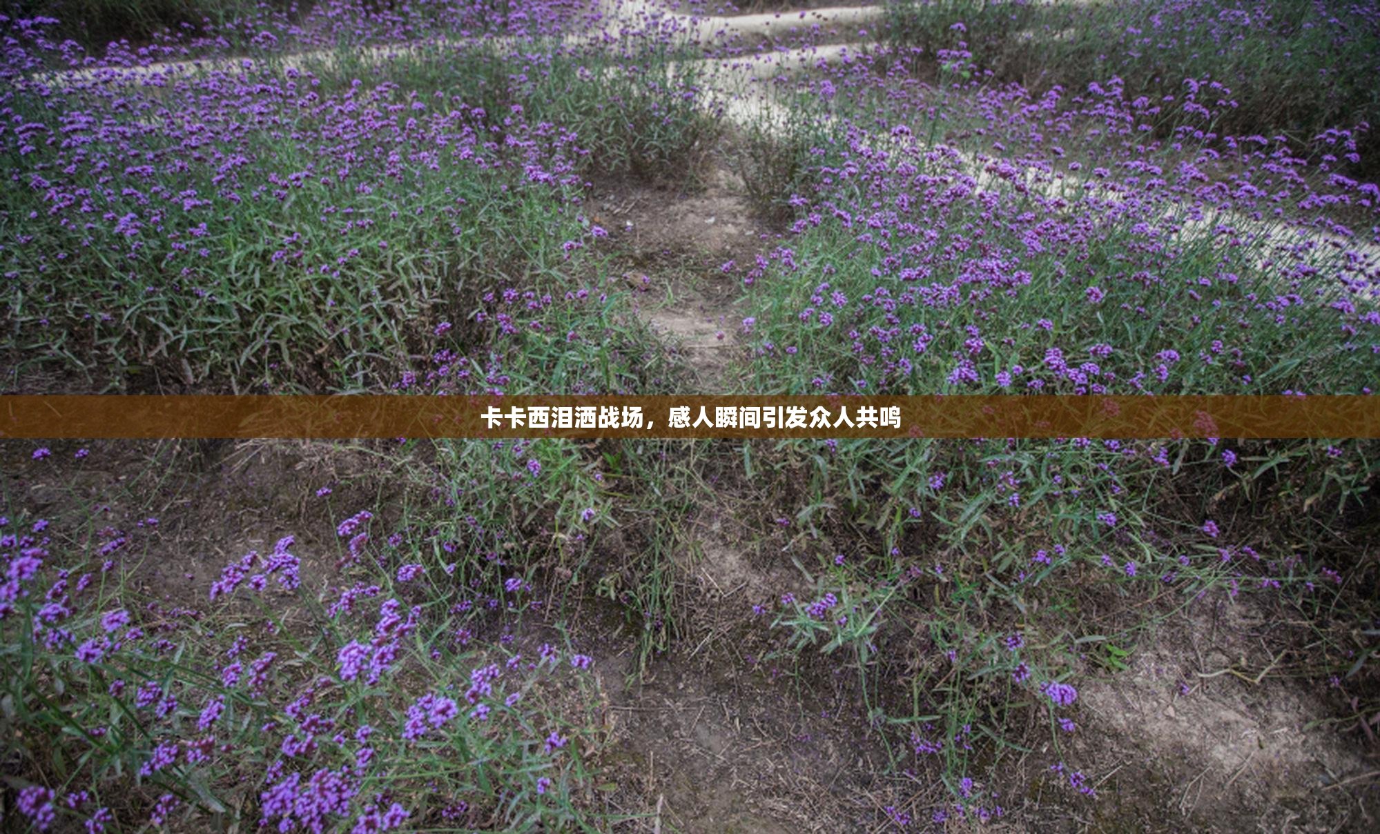 卡卡西泪洒战场，感人瞬间引发众人共鸣