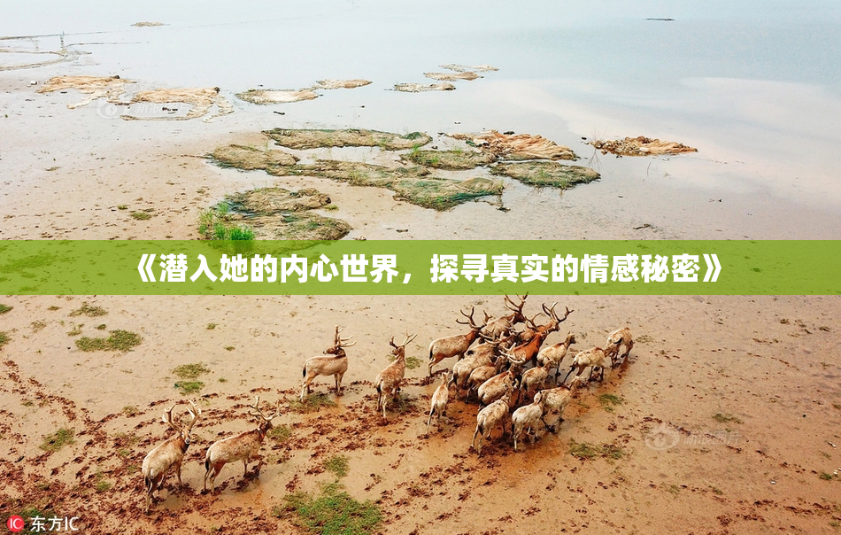 《潜入她的内心世界，探寻真实的情感秘密》