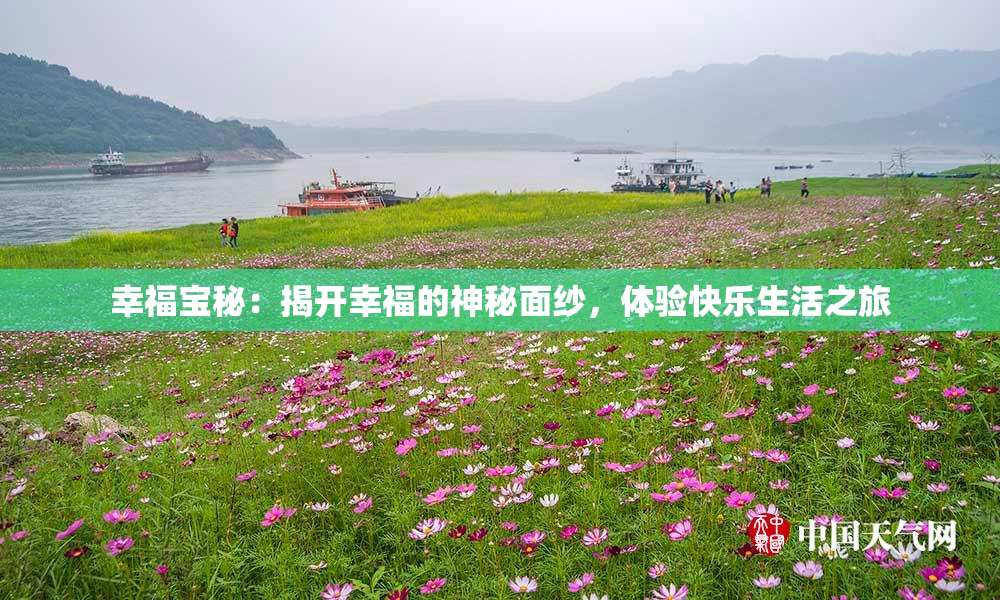 幸福宝秘：揭开幸福的神秘面纱，体验快乐生活之旅