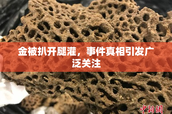 金被扒开腿灌，事件真相引发广泛关注