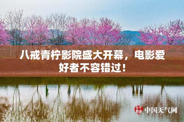 八戒青柠影院盛大开幕，电影爱好者不容错过！