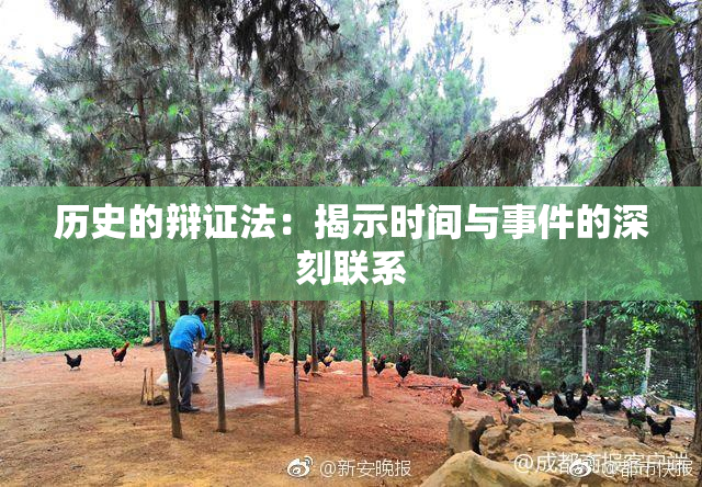 历史的辩证法：揭示时间与事件的深刻联系