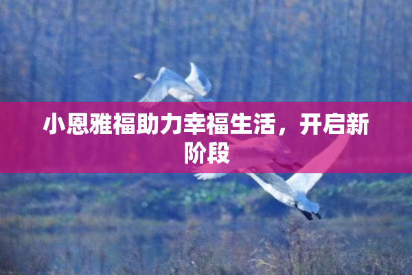 小恩雅福助力幸福生活，开启新阶段
