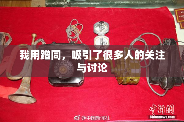 我用蹭同，吸引了很多人的关注与讨论