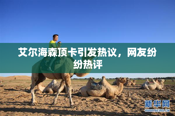 艾尔海森顶卡引发热议，网友纷纷热评