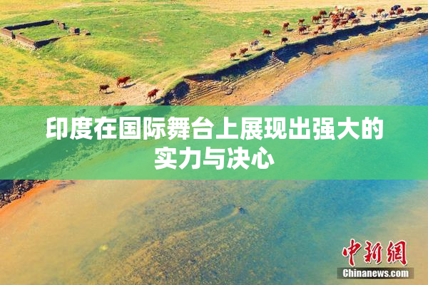 印度在国际舞台上展现出强大的实力与决心