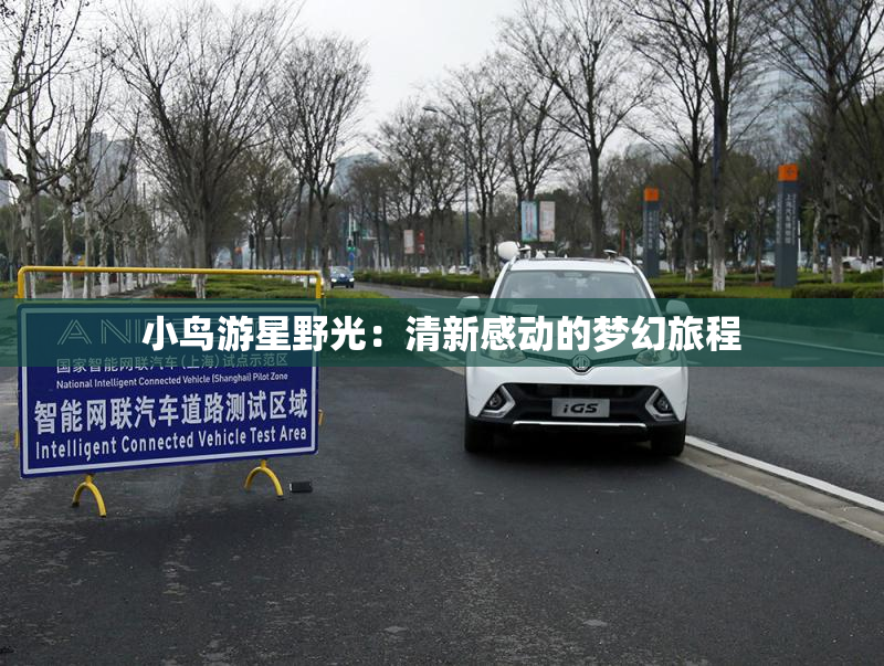 小鸟游星野光：清新感动的梦幻旅程