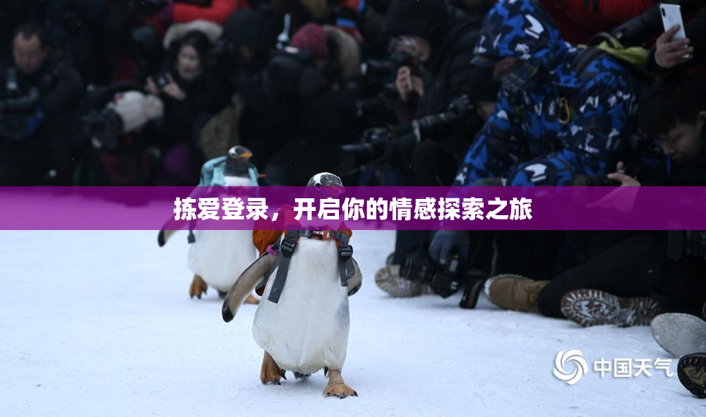 拣爱登录，开启你的情感探索之旅