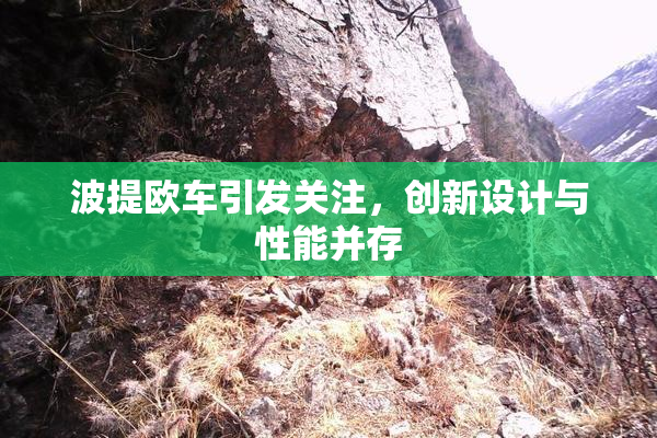 波提欧车引发关注，创新设计与性能并存