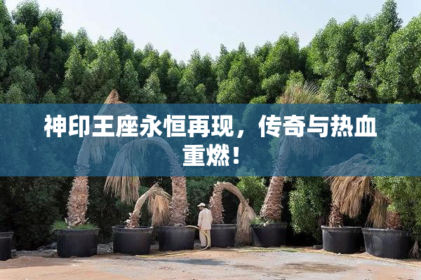 神印王座永恒再现，传奇与热血重燃！