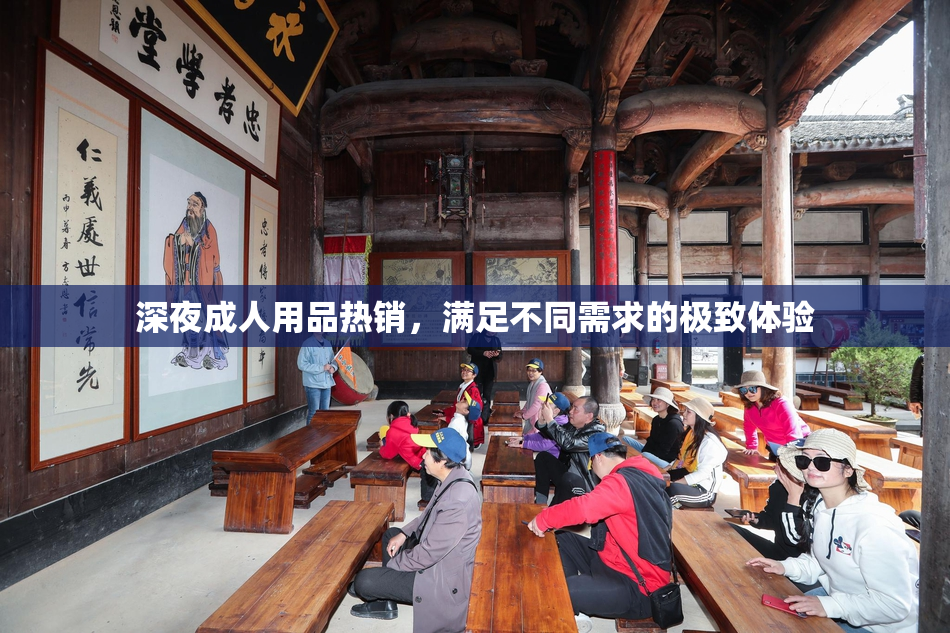 深夜成人用品热销，满足不同需求的极致体验