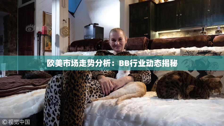 欧美市场走势分析：BB行业动态揭秘